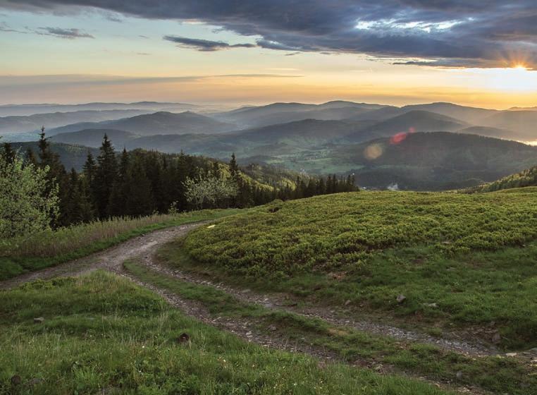 Obszarami mającymi na celu zachowanie całości przyrody w stanie możliwie niezmienionym, wraz ze zróżnicowaniem naturalnie zachodzących procesów ekologicznych, są parki narodowe oraz, w mniejszym