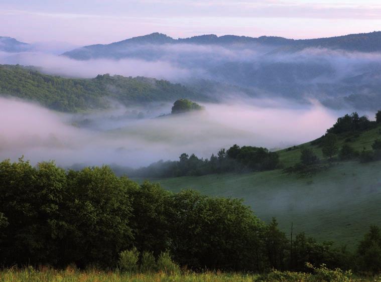 Karpaty cenna ostoja ptaków Karpaty stanowią jedną z bardziej istotnych ostoi ptaków w kraju, charakteryzując się znaczną różnorodnością występujących tu gatunków, w tym tych wyspecjalizowanych