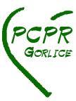 POWIATOWE CENTRUM POMOCY RODZINIE W GORLICACH ul. Słoneczna 7, 38 300 Gorlice, tel./fax. (18) 352 53 80 sekretariat@pcpr.gorlice.pl, www.pcpr.gorlice.pl WR.410.3.2017 Gorlice, dnia.. lutego 2017r.