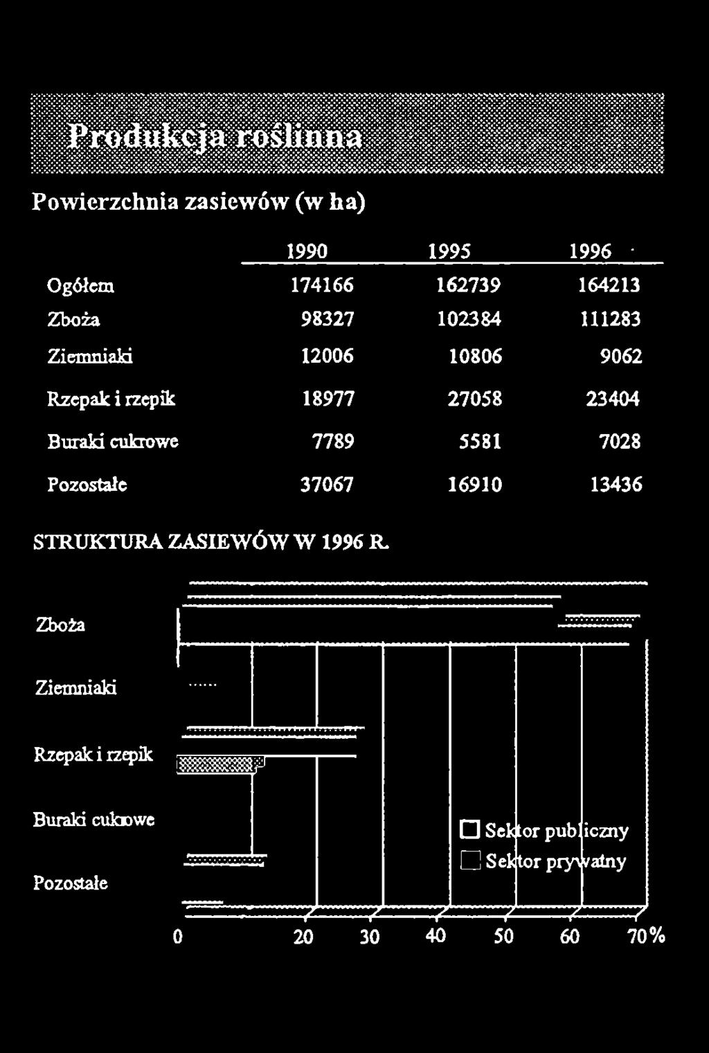 rzepik 18977 27058 23404 Buraki