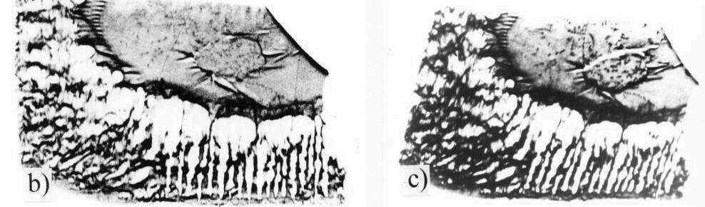 Odbiciowa topografia