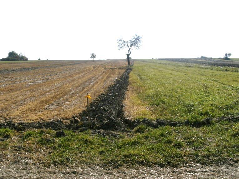 chełmski Nowa droga Zmiana