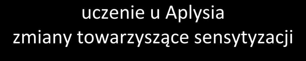 uczenie u Aplysia zmiany towarzyszące sensytyzacji uczenie krótkotrwałe