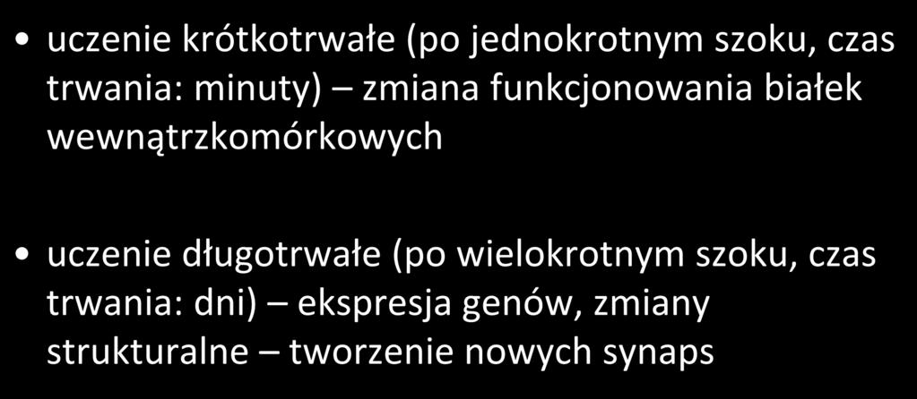 białek wewnątrzkomórkowych uczenie długotrwałe (po wielokrotnym szoku,