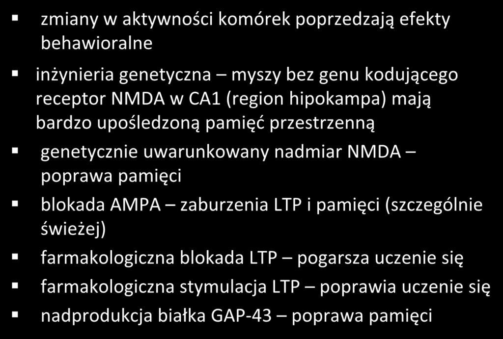 LTP a zachowanie zmiany w aktywności komórek poprzedzają efekty behawioralne inżynieria genetyczna myszy bez genu kodującego receptor NMDA w