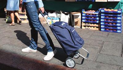 Wózki na zakupy GIMI ARGO wózek na zakupy 30kg/45l.czerwony ARGO wózek na zakupy 30kg/45l.