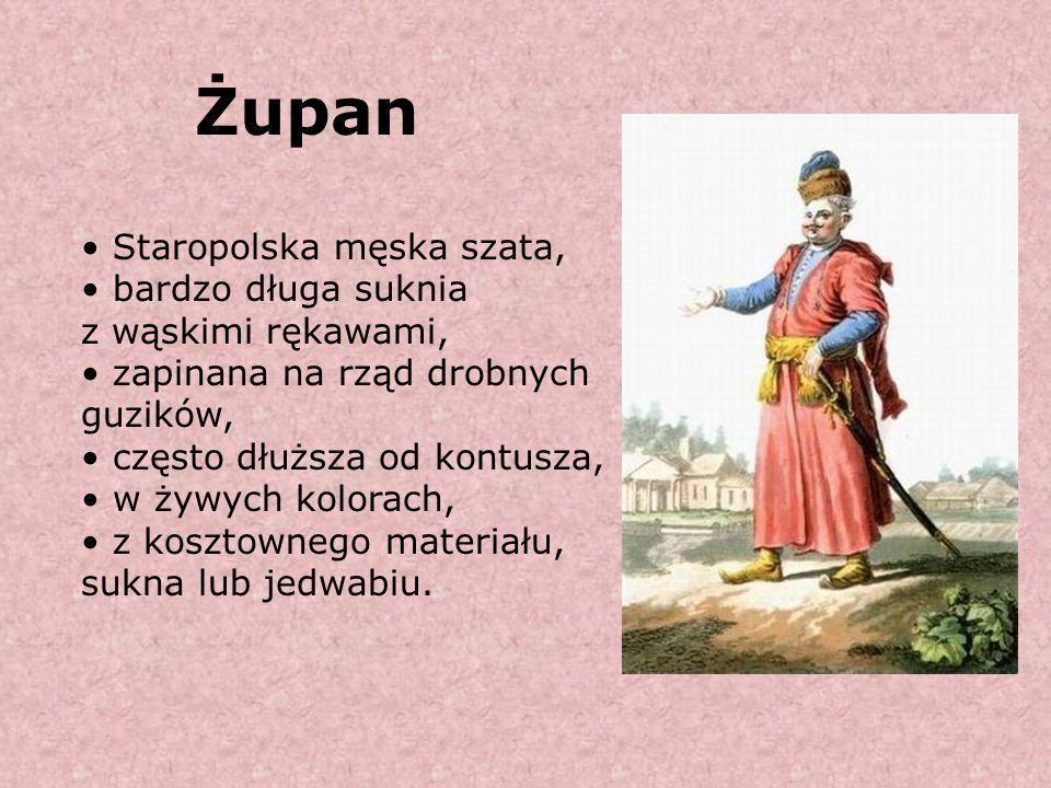 Teraz jest XV stulecie, Hrabia Henryk Szpejnowski (polski szlachcic, fikcyjny?), członek polskiego sejmu, parlamentu, jest dumny ze swojego sarmackiego dziedzictwa.