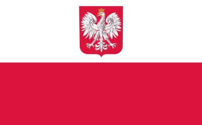 Polska bandera handlowa Flaga MSPiR z logo SAR Flaga służbowa polskich jednostek