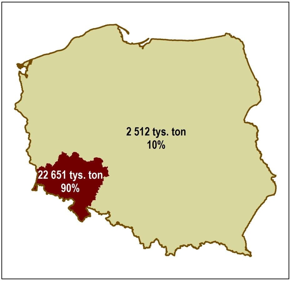 Zasoby geologiczne wybranych typów litologicznych skałmagmowych i metamorficznych w Polsce i na Dolnym Śląsku Rodzaj skał Zasoby (Polska) [tys. ton] Zasoby (Dolny Śląsk) [tys.