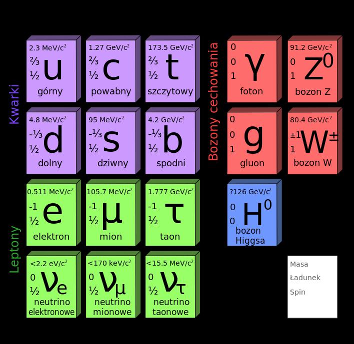 1. Podstawy fizyki zderzeń ciężkich jonów 1.1. Model standardowy i chromodynamika kwantowa W latach siedemdziesiątych XX wieku sformułowany został Model Standardowy [1], [2].