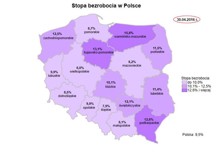 Obserwatorium Rynku Pracy, Zespół Badań i Analiz,