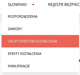 Rys. 39 Okno dodawania wartości do słownika Zawody 5. Po dodaniu zawodu, Użytkownik może je wyszukać w rejestrze po nazwie. 8.