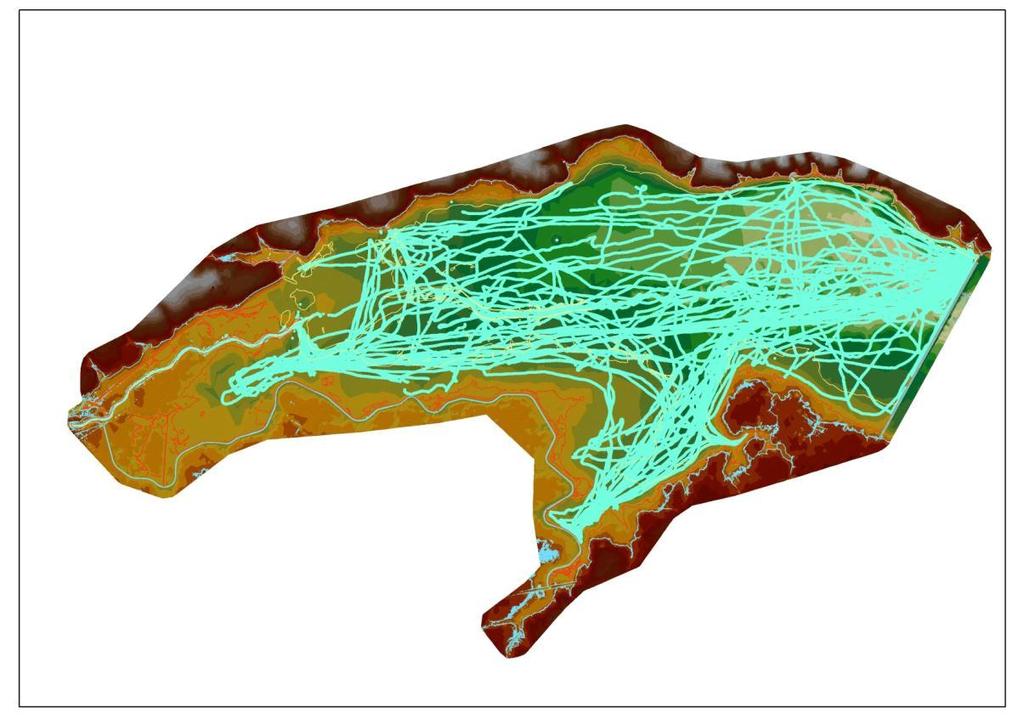 Model dna