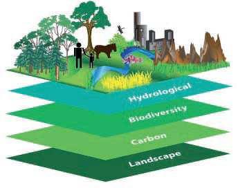 Ekosystem obejmujący architekturę zieleni, dwutlenek węgla,
