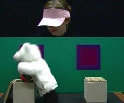 Teoria
