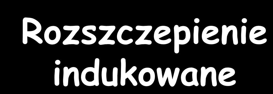 Rozszczepienie indukowane n+ 235 U 134