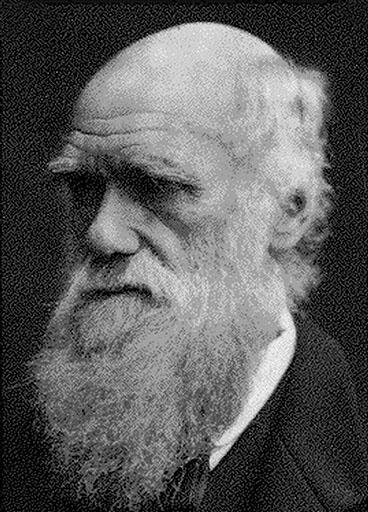 Teoria ewolucji Darwina (1859) Ewolucja = Dostosowanie Ewolucja = Mutacja + Selekcja Przetrwanie naczelnym interesem grupy Natura nie jest solidarna!