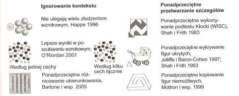 Mocne strony funkcjonowania osób z ASD: Dominacja zmysłu wzroku nad innymi zmysłami Znacznie lepsze wykonywanie zadań wymagających analizy wzrokowo - przestrzennej Mój mózg podobny