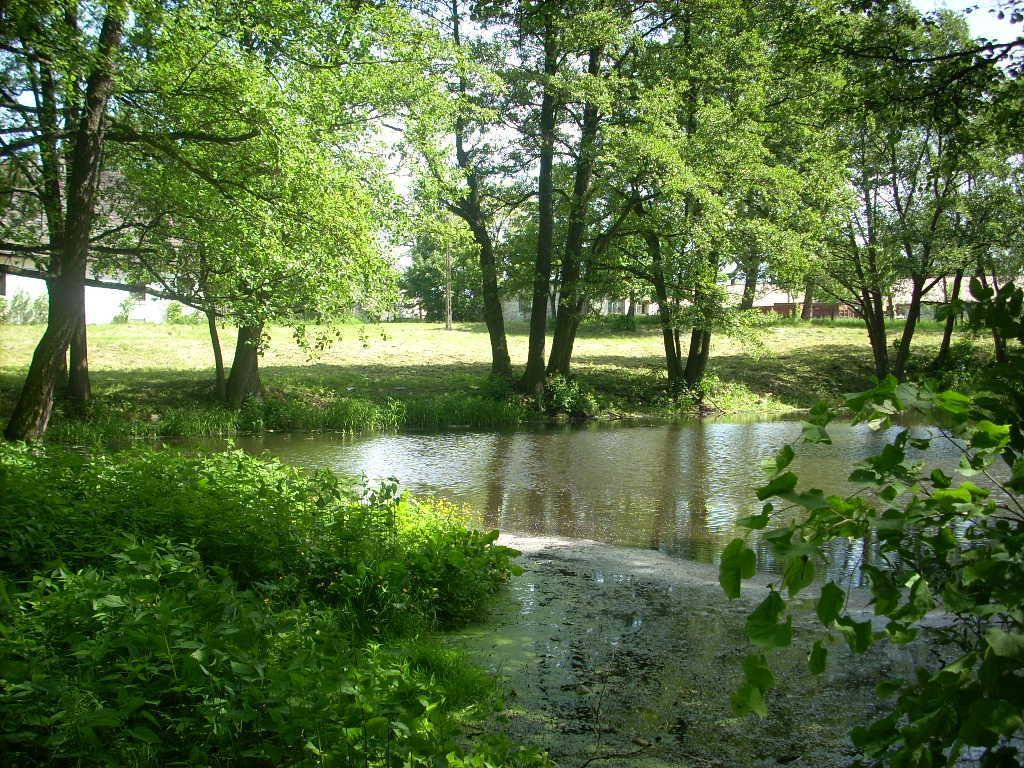 Park wymaga działań rewaloryzacyjnych