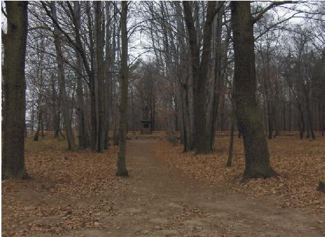 22. UWAGI: Ogólna powierzchnia obiektu 1,03ha Obiekt został założony w latach 1915-1918 - po walkach tzw. bitwy łódzkiej.