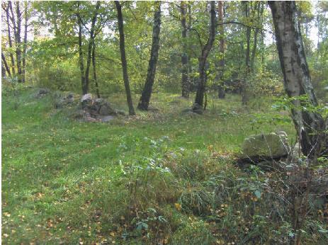 22. UWAGI: Ogólna powierzchnia obiektu 0,9 ha Widoczne zrujnowane i porośnięte roślinnością nagrobki lub ich fragmenty. Częściowo zachowane ogrodzenie z polnych kamieni.