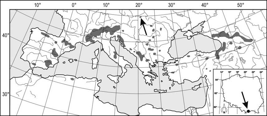 40 P. Kosiński & A. Wojnicka-Półtorak Juniperus sabina L. na reliktowym stanowisku Ryc. 1. Lokalizacja badanej populacji jałowca sabińskiego Juniperus sabina na tle europejskiego zasięgu gatunku.