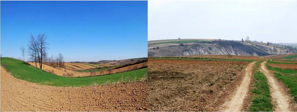 W gruntach ornych widoczny jest ubytek około 320 ha, największy w obrębach: Miechów-Charsznica (58 ha), Jelcza (36 ha), Pogwizdów (36 ha) i Podlesice (30 ha).