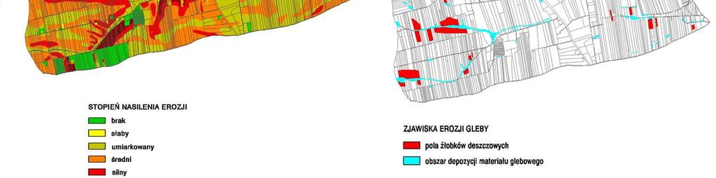 deszczowych oraz obszarów świeżej depozycji materiału glebowego.