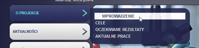 Pozycja macierzysta - ta opcja pozwala na ustalenie pozycji matki. Gdy wybierzemy pozycje nadrzędną dostępna z listy, nasza zakładka będzie widoczna dopiero po rozwinięciu pozycji głównej.