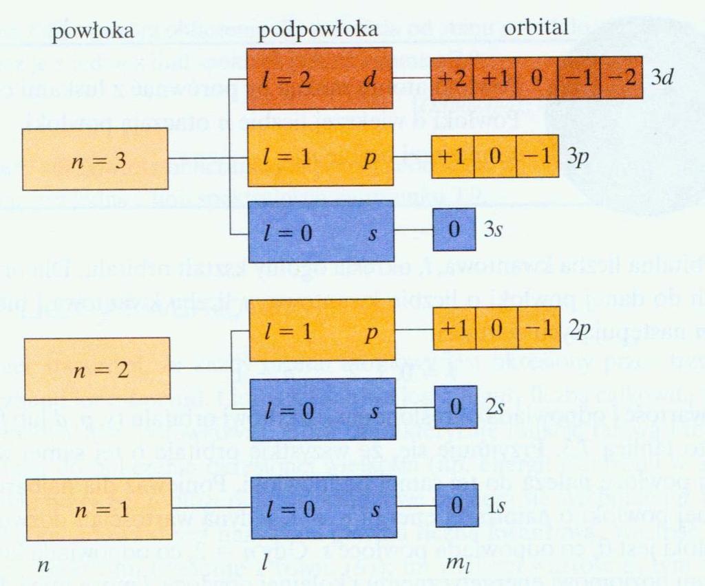 Każdy orbital jest określony przez trzy liczby zwane liczbami kwantowymi, które wychodzą w rozwiązaniu równania Schrödingera : 1.