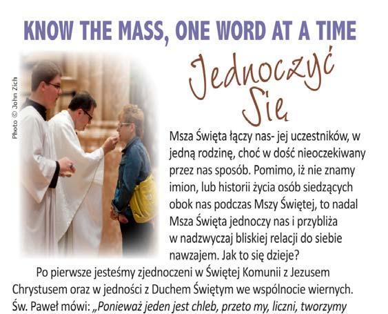 Ogłoszenia Parafialne 21 kwietnia 2013 r. IV Niedziela Wielkanocna Moje owce słuchają mego głosu, a Ja znam je. Idą one za Mną i Ja daję im życie wieczne.