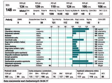 RZFit 136