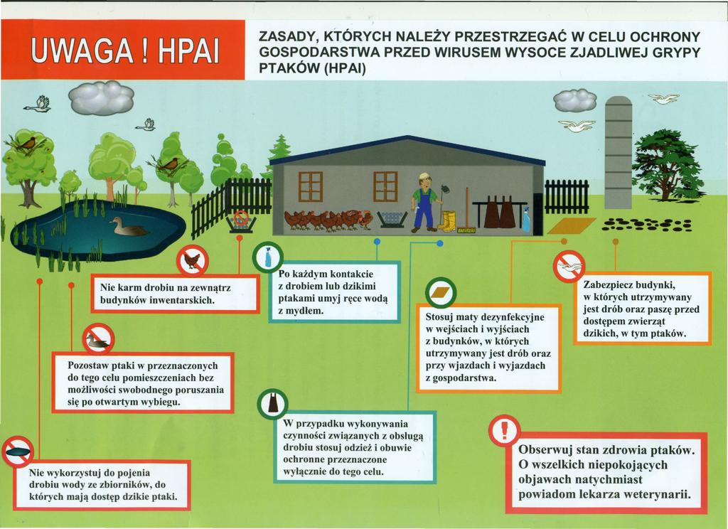 ZASADY, KTÓRYCH NALEŻY PRZESTRZEGAĆ W CELU OCHRONY GOSPODARSTWA PRZED WIRUSEM WYSOCE ZJADLIWEJ GRYPY PTAKÓW (HPAl) ~ _._--. ~~..~- = ~ IIIIIIiiI_ -.