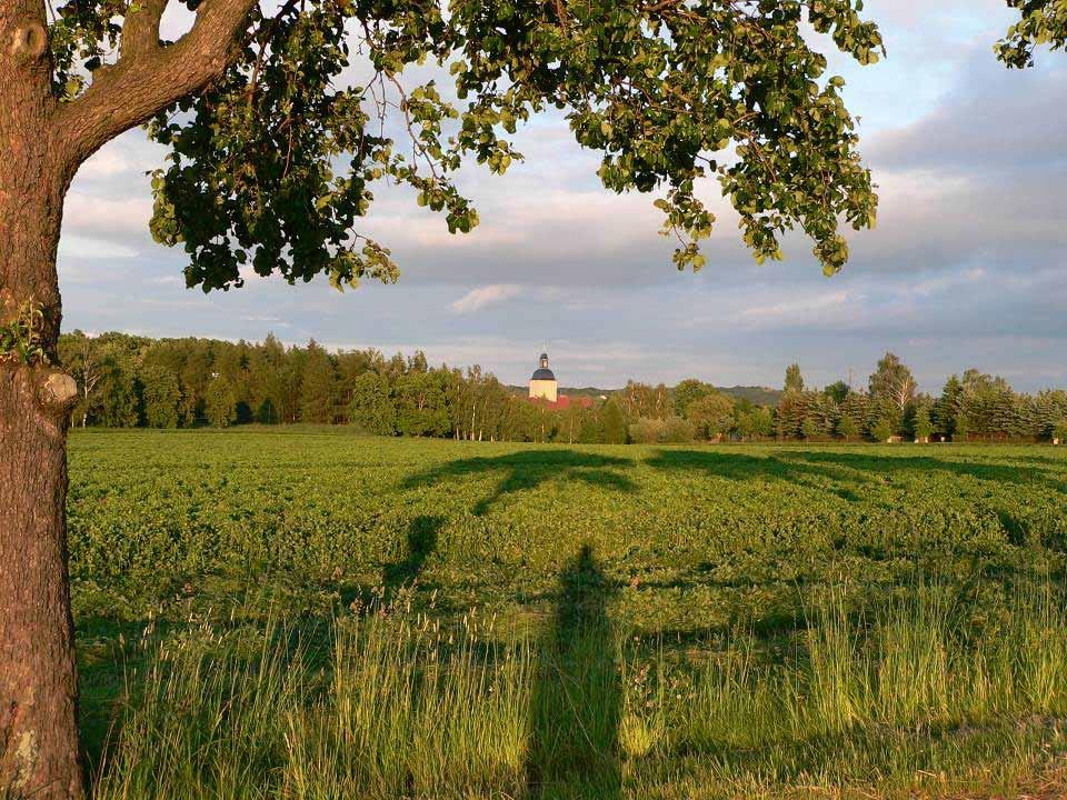 Umweltschutz durch Landwirtschaft Betrieb: LWB Thomas Fischer, Bahra