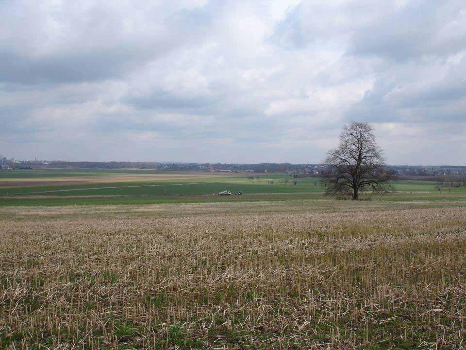 Ackerbau: Wintergetreide, Grünroggen, Triticale, Mais für Biogas Agrarumweltmaßnahmen wie A3b, A3a, artenspezifischer Vertrags-naturschutz Uprawa: