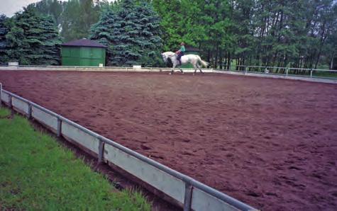 geosiatki dla ujeżdżalni koni i wybiegów Wielu sympatyków jazdy konnej buduje lub użytkuje ujeżdżalnie koni.