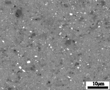 AlN(~1 µm) 7475 z 10% wag.