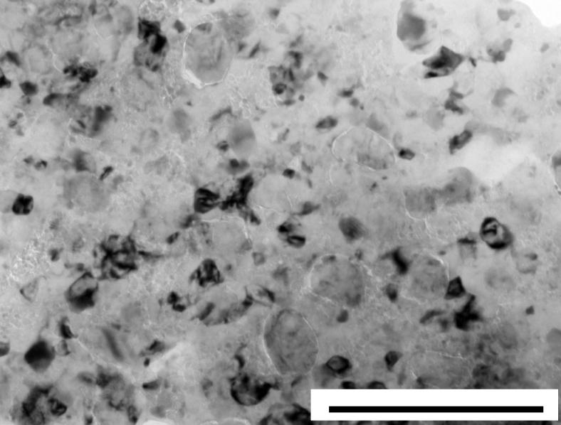 osnowie(lokalnie widoczne były aglomeraty nano-cząstek Al2O3) TEM investigation of metal/ceramic interfaces in AA7475/AlN