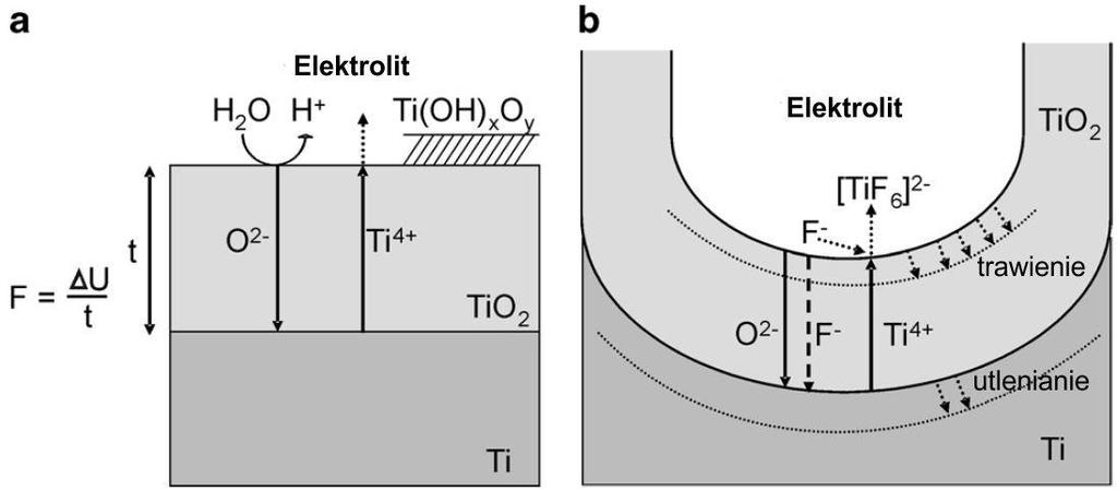 kilka procesów, spośród których transport jonów przez tworzoną warstwę tlenkową, wspomagany obecnością pola elektrycznego, odgrywa najistotniejszą rolę.