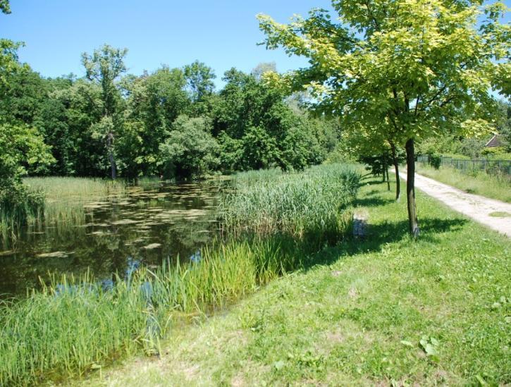 W otoczeniu ogródki działkowe i tereny ruderalne.