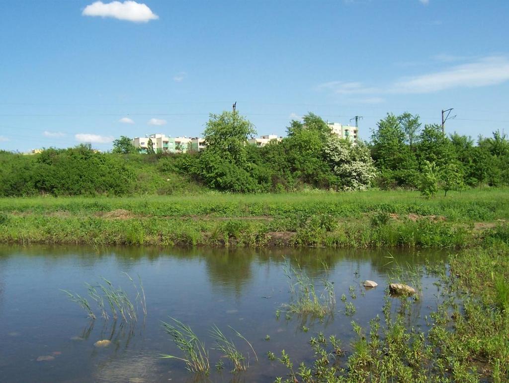 Odcinek linii 275, 751, 759 w odległości około 1 km od stacji Wrocław Nowy Dwór.