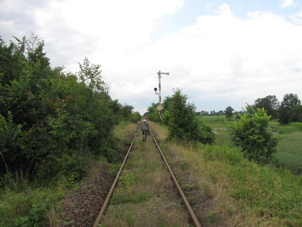 Fot. 79. Odcinek linii 285 (km 19,500, W;40). Pola uprawne.