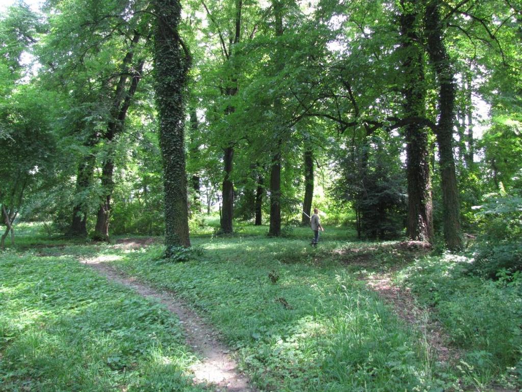 Odcinek linii 285 (km 25,000 25,500). Pola uprawne. W otoczeniu las, zabudowa wiejska.