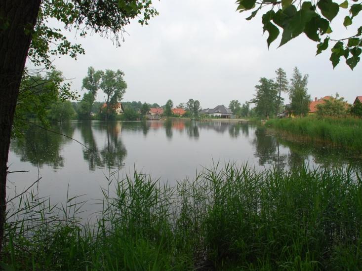 Fot. 97. Odcinek linii 292 (km 6,500, N; 145). Staw.