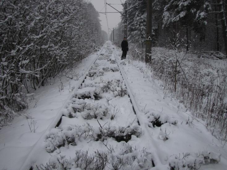Stanowisko żaby wodnej, zaskrońca zwyczajnego, łyski, perkozka.
