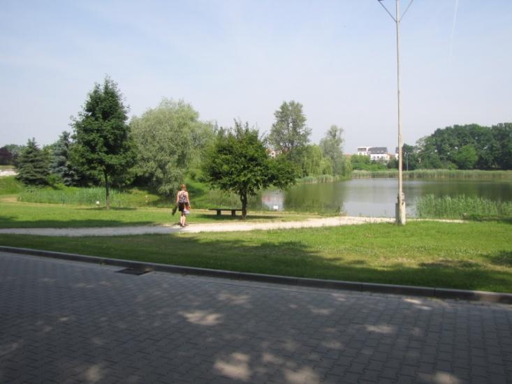 Niżowe i górskie świeże łąki użytkowane ekstensywnie. Fot. 100.