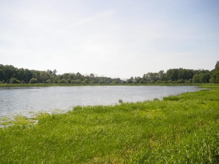 Rów melioracyjny przy stawie i torach kolejowych.