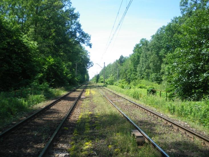 Fot. 25. Odcinek linii 143 (km 142,296 143,796). Stawy w Borowej.