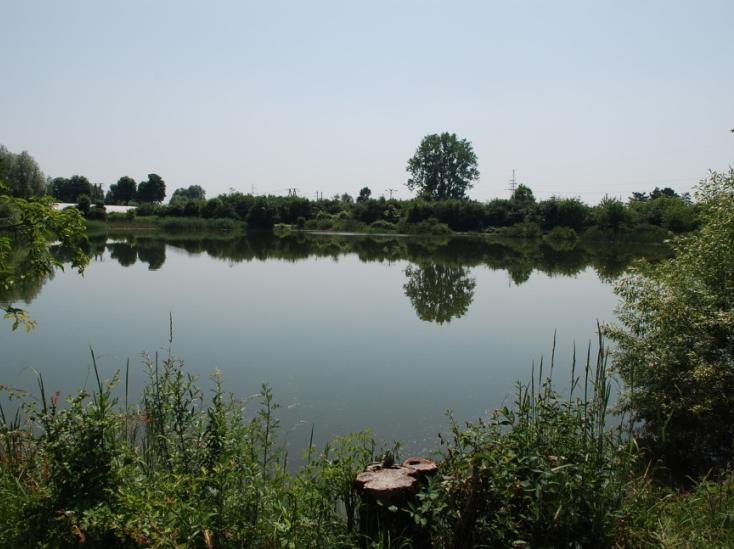 W otoczeniu tereny ruderalne, przemysłowe, zabudowa wiejska.