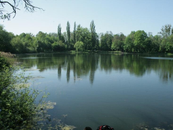 Stanowisko kląskawy i mazurka. Fot. 40.